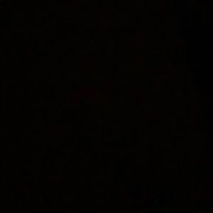 Meet your Posher, Lacey